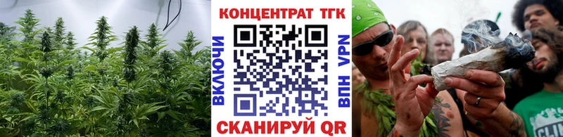 Купить закладки  Десногорск  ТГК жижа 